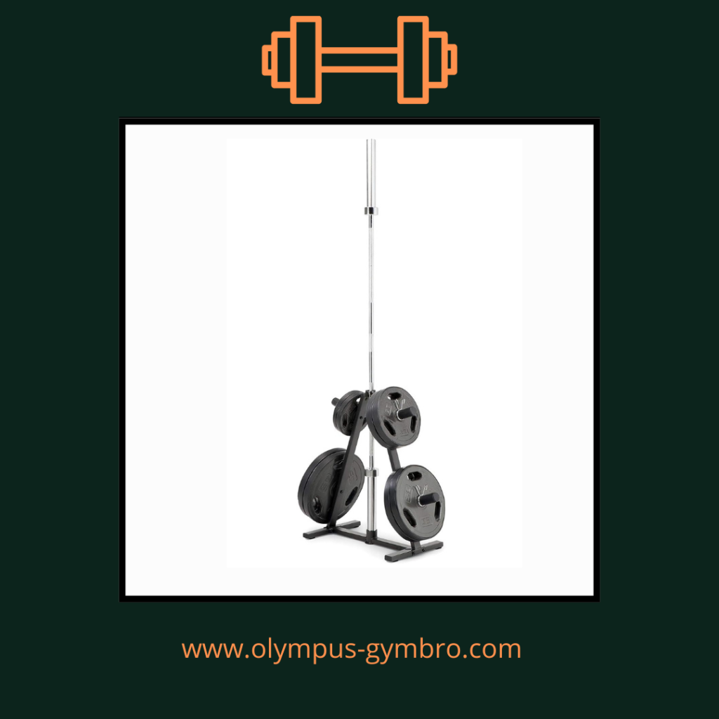 dumbbell weight plate storage solution,dumbbell weight plate storage system,weight plate storage solution.1